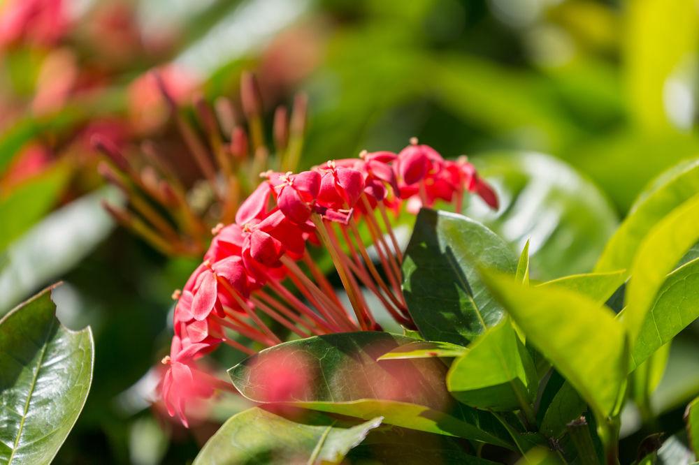 Courtyard By Marriott Waikiki Beach Honolulu Bagian luar foto