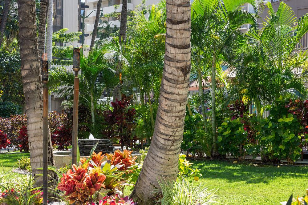 Courtyard By Marriott Waikiki Beach Honolulu Bagian luar foto
